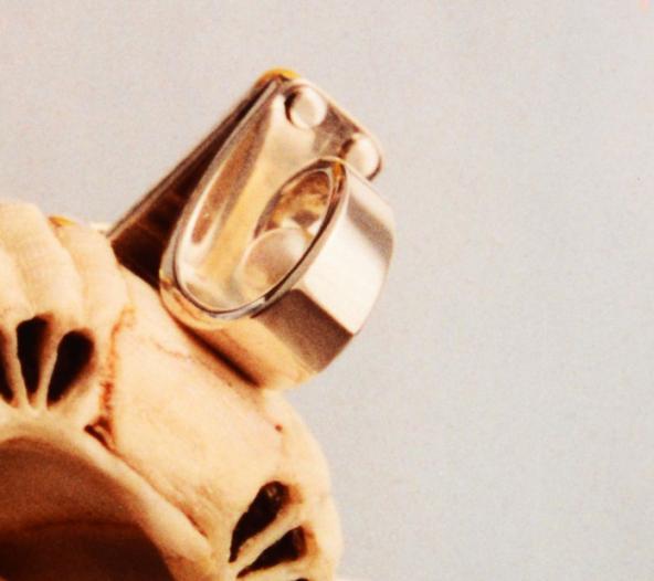 Whale Barnacle with Pearls