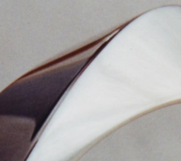 Sterling Ring "continuous surface design"