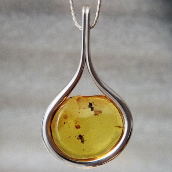 Amber with Two Insects