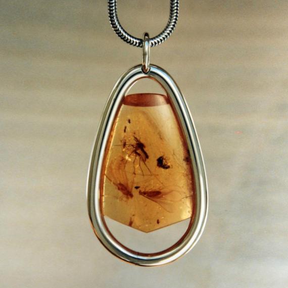 Amber with Several Insects
