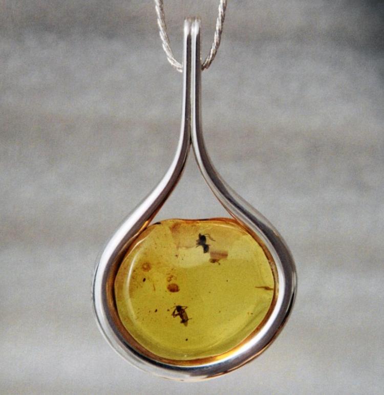 Amber with Two Insects