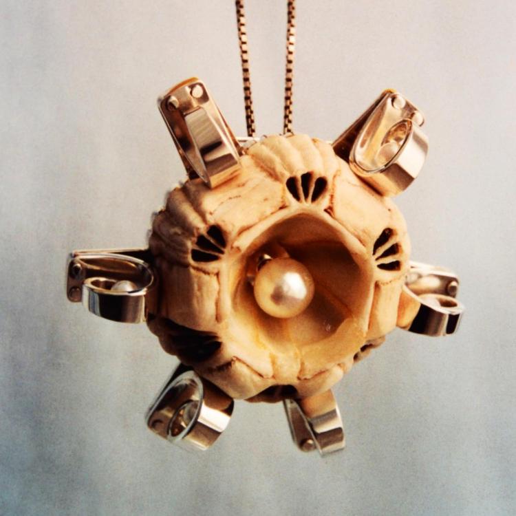 Whale Barnacle with Pearls