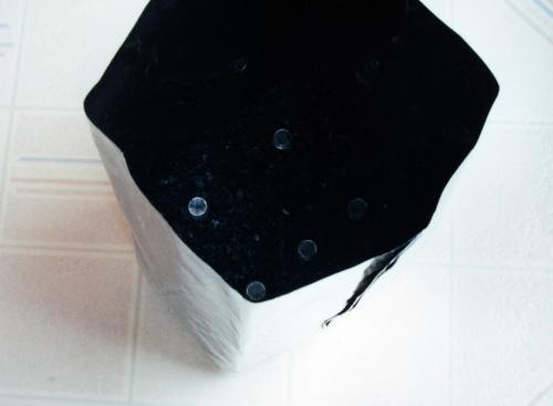 The entire assembly of stacks and bolted steel plates is embedded in charcoal inside a stainless steel foil bag. When sealed, the interior of this bag will maintain a reducing or non-oxidizing atmosphere.