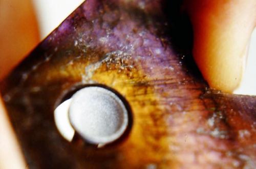 A hole for the citrine "sun" is being carved with a circular diamond burr. Labradorite is very brittle and will chip easily, such that the process of carving into it is done very slowly and gently.