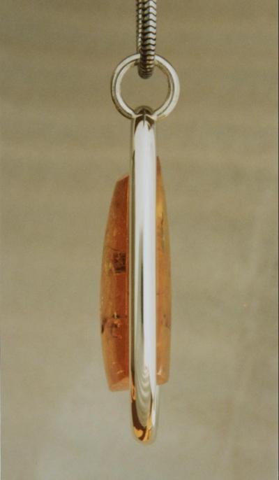 Amber with Several Insects