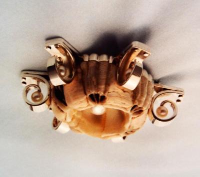 Whale Barnacle with Pearls